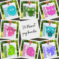 Mascot Bundle