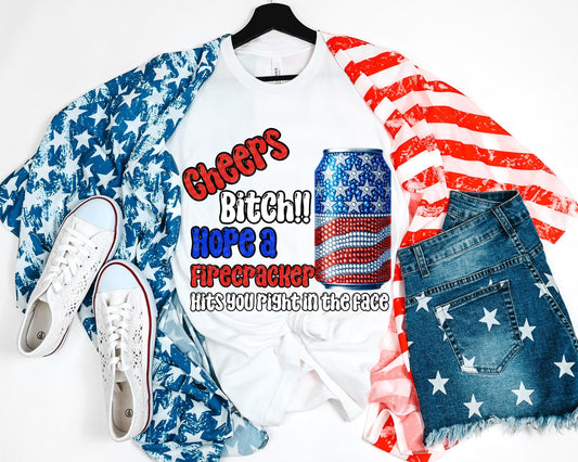 Snarky 4th of July PNG Firework Digital Download Fourth of July Sublimation